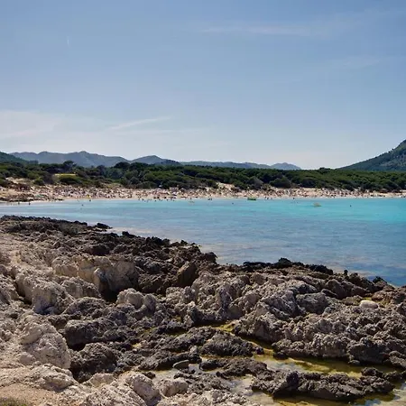 Vincci Bosc De Mar-2